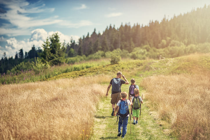 Vater und drei Kinder wandern auf einem Weg durch Weizenfelder und im Hintergrund ist ein Nadelwald und Wiesen.