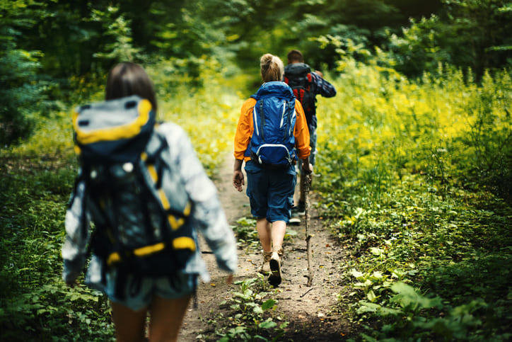 Geführte Wanderungen in der Rhön